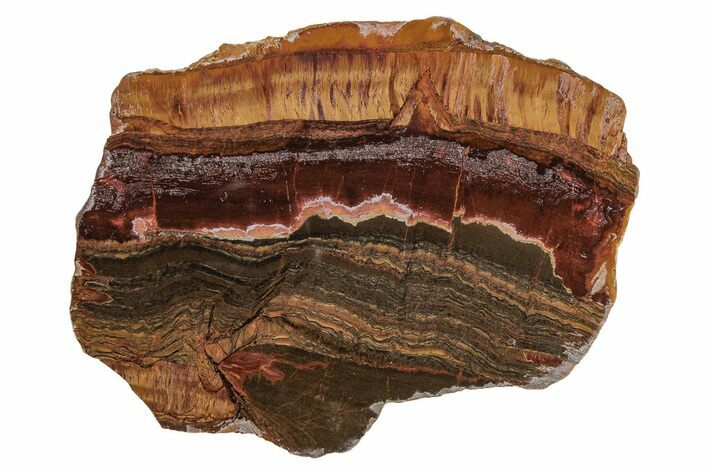 Polished Packsaddle Tiger Eye Slab - Western Australia #216751